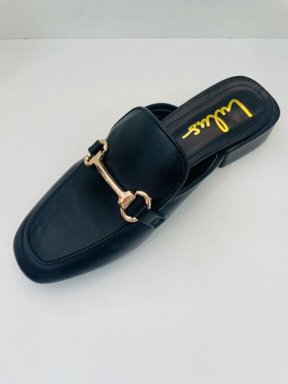 ZAPATOS LULUS